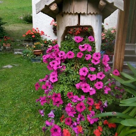 B&B Pra' Dei Cervi Telve Екстер'єр фото