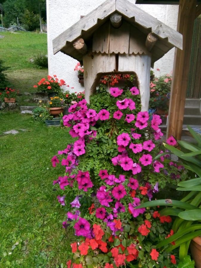 B&B Pra' Dei Cervi Telve Екстер'єр фото