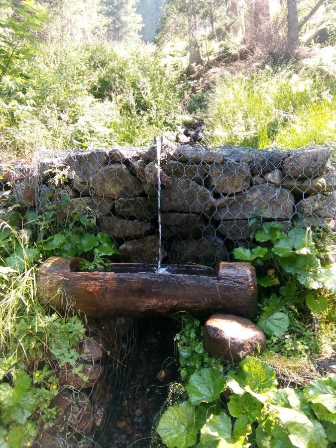 B&B Pra' Dei Cervi Telve Екстер'єр фото
