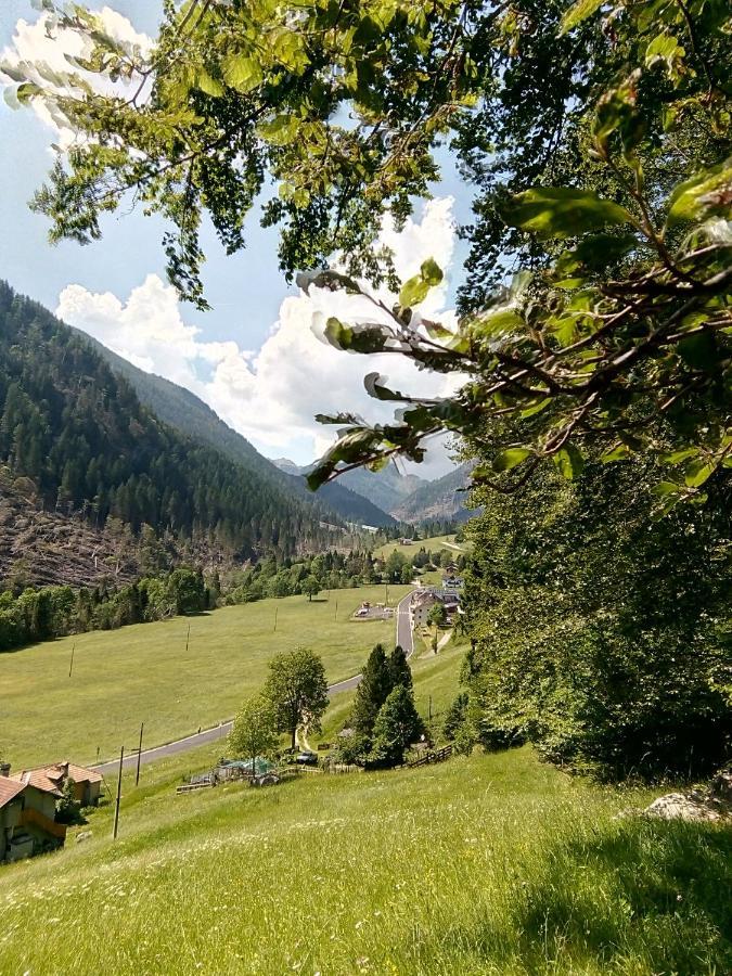 B&B Pra' Dei Cervi Telve Екстер'єр фото