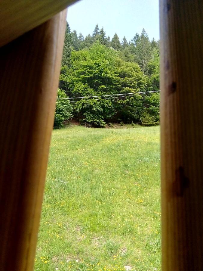 B&B Pra' Dei Cervi Telve Екстер'єр фото